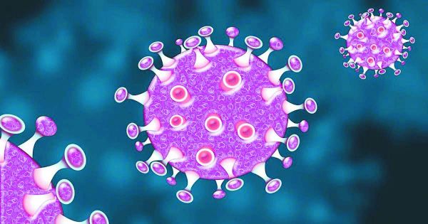 लोरमी व दंतेवाड़ा के स्कूलों में फैला कोरोना, शिक्षक भी संक्रमित, सभी का  टेस्ट कराया जा रहा