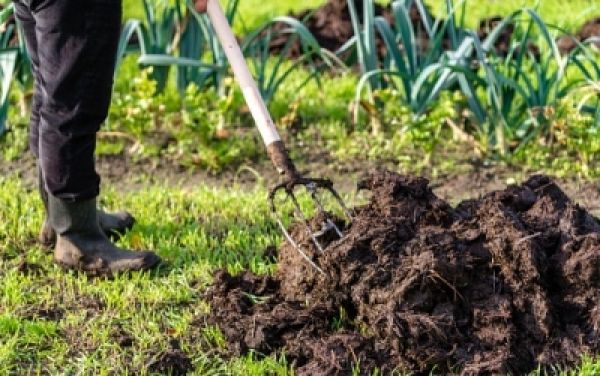 छत्तीसगढ़ में गोबर से लिखी जा रही ग्रामीण इलाकों में आर्थिक समृद्धि की इबारत