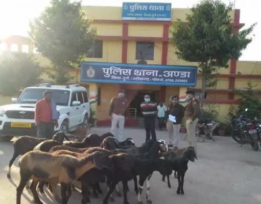 दुर्ग-कवर्धा से सैकड़ों बकरियां चुराने वाला खरगोश गिरोह पकड़ाया