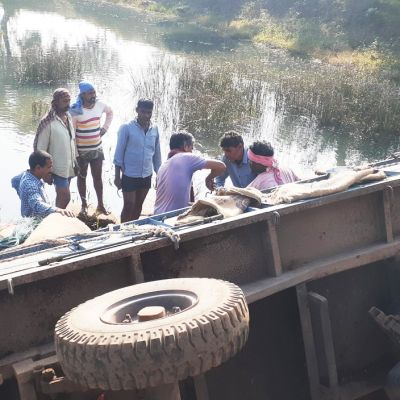 धान से भरी ट्रैक्टर-ट्रॉली पुल से गिरी