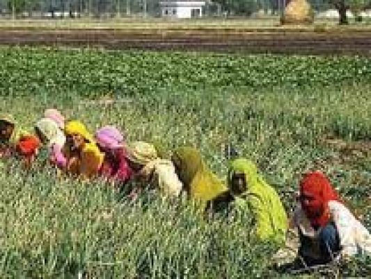  राष्ट्रीय कृषि विकास योजना