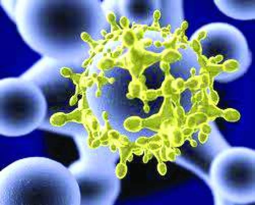 वायरस या विषाणु