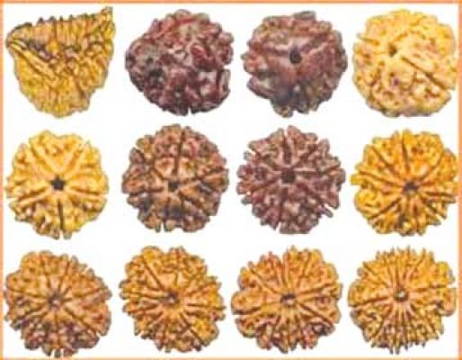  रूद्राक्षजाबालोपनिषद