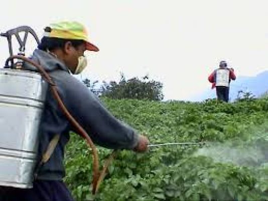  पेस्टिसाइड्स