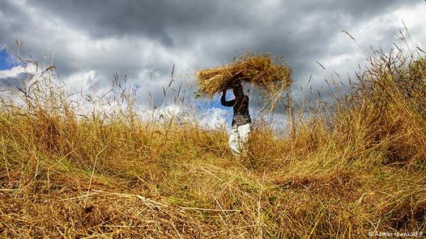 दक्षिण पूर्व एशिया के लिए सेहत, गरीबी, बेरोजगारी और चीन ही बड़ा मुद्दा