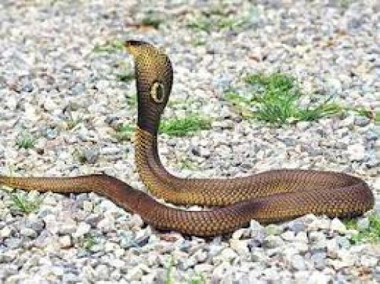 हर दिन हॉट सीट  2 मार्च