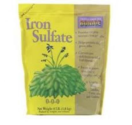 आयरन सल्फेट