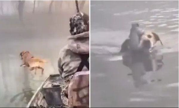 ‘छत्तीसगढ़’ का संपादकीय :  कुदरत का हर पहलू होता है इंसानों के लिए बेहतर शिक्षक