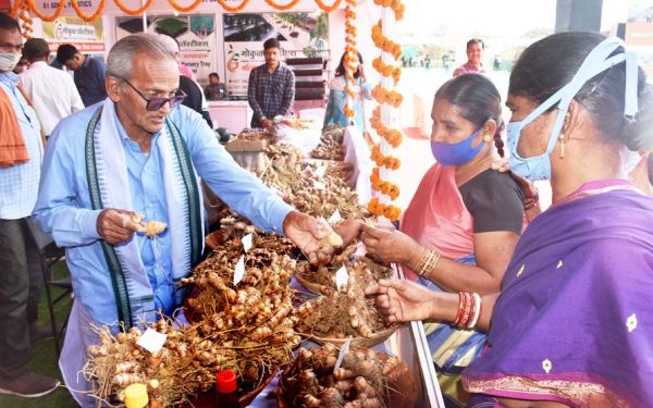  एक नहीं, दो नहीं छह तरह की हल्दी