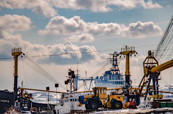 गेहूं, तेल, गैस... वो चार चीजें जो रूस और यूक्रेन दुनिया को सप्लाई करते हैं