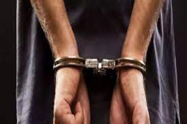 डेढ़ करोड़ रुपए की कीमत के कछुए के अंग एवं नशीली दवाएं बरामद, एक आरोपी गिरफ्तार