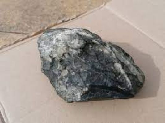 गणेश गांवकर ने गोवा विधानसभा के प्रोटेम स्पीकर के रूप में शपथ ली