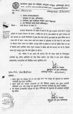 कैक्टस रोपण, कांटा तार फेंसिंग, फटाका से मानव हाथी द्वन्द बढ़ा रहे हैं छत्तीसगढ़ के वन अधिकारी