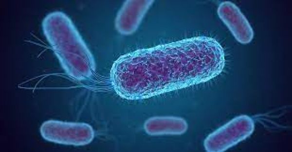   हर दिन हॉट सीट 16 मार्च