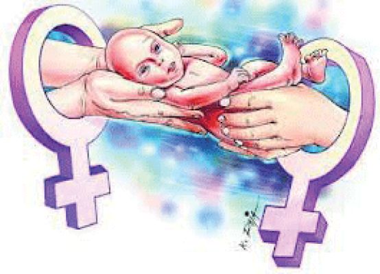 सरोगेसी