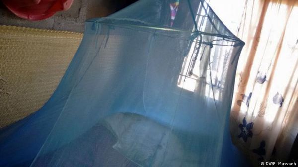 कीटनाशक से लैस मच्छरदानी बचा रही मलेरिया से