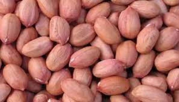   हर दिन हॉट सीट 3 अप्रैल