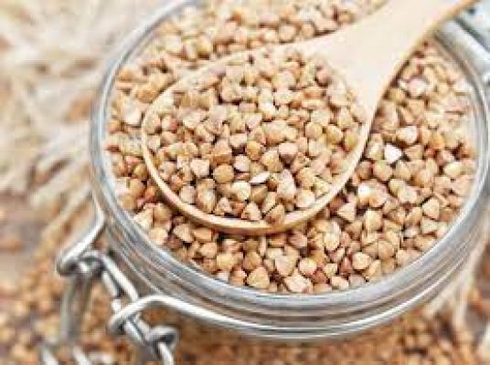 ‘कुट्टू’ से बना भोजन करने के बाद हरियाणा में 70 लोग बीमार पड़े