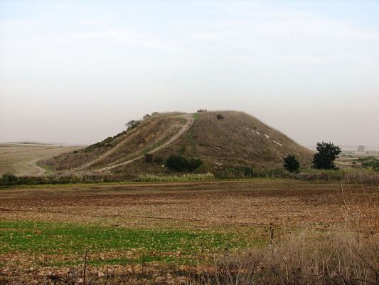 टेल किसे कहते हैं?