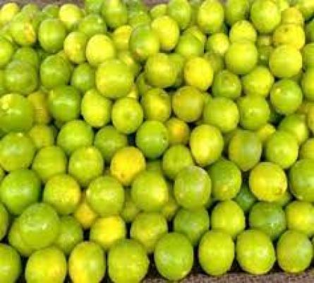 पेट्रोल-डीज़ल के बाद अब नींबू की क़ीमत निचोड़ रही है आम आदमी को