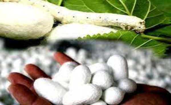 हर दिन हॉट सीट 9 अप्रैल