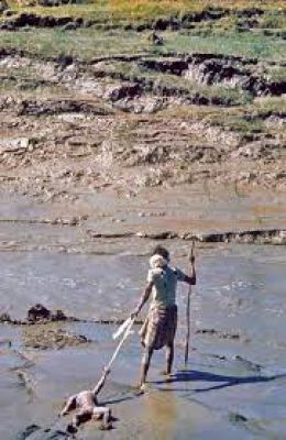 अतीत से: सबसे जानलेवा द ग्रेट भोला चक्रवात