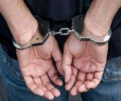 अमेरिका : फ्रीजर में 183 पशुओं के अवशेष मिलने के बाद एरिजोना का व्यक्ति गिरफ्तार