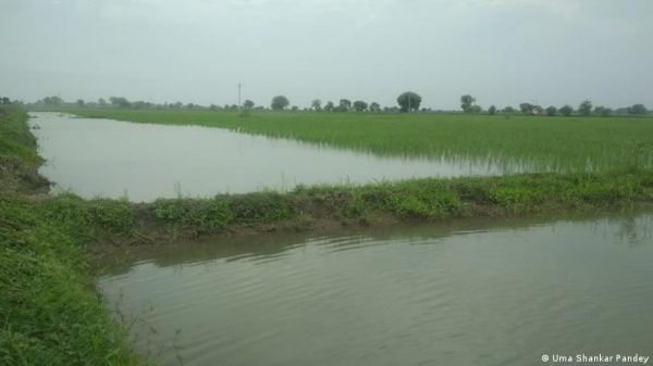 सूखे बुंदेलखंड के इस गांव में कैसे पहुंची हरियाली