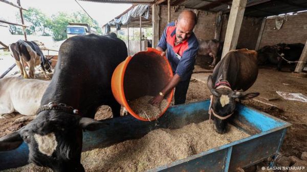 किसानों को समृद्ध और शहरों को साफ रखेगा गोबर