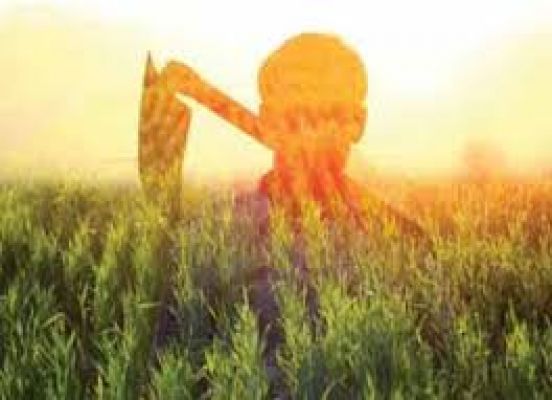 प्राकृतिक खेती को बढ़ावा देने के लिए राज्यों का केंद्र से सक्रिय कदम उठाने का आग्रह