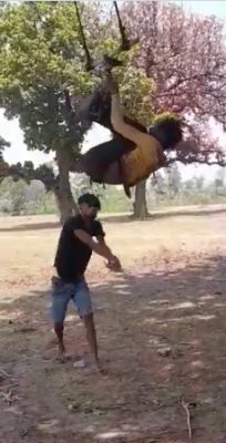 पेड़ पर लटका कर युवक की लाठियों से पिटाई, चोरी की कोशिश करने पर दी गई सजा