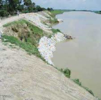  मेघ पाईन अभियान क्या है?