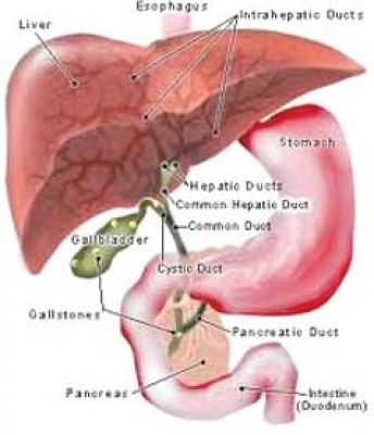 गुर्दे में पथरी कैसे हो जाती है?