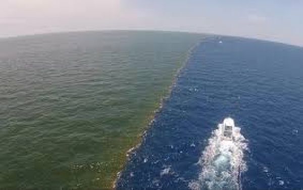 हर दिन हॉट सीट 2 मई