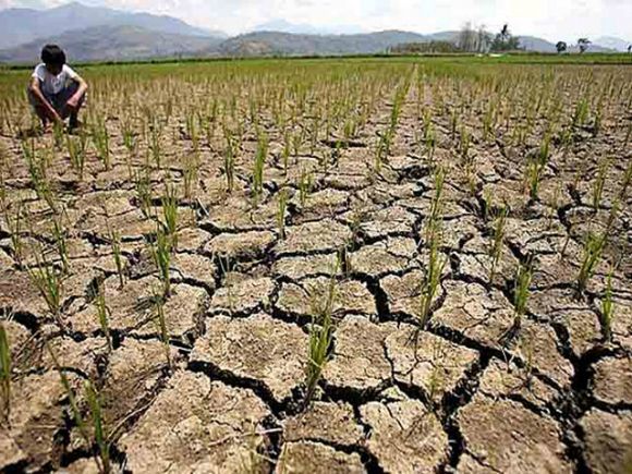  सरगुजा की सिंचाई योजनाओं में भ्रष्टाचार, करोड़ों फूंके, खेतों तक नहीं पहुंचा पानी