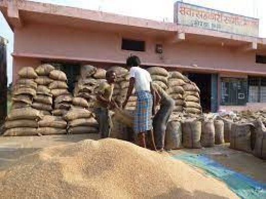 गेहूं संकट: पांच साल बाद थमेगा बंपर उत्पादन का सिलसिला, 13 साल बाद सबसे कम गेहूं खरीदेगी सरकार