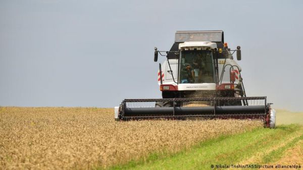 क्या दुनिया में खाना अब कभी सस्ता नहीं होगा?