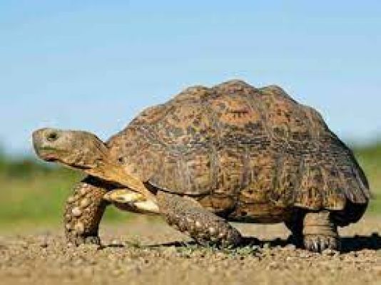   हर दिन हॉट सीट 11 मई