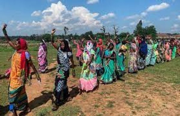 हसदेव अरण्य के मामले में सुप्रीम कोर्ट और हाई कोर्ट में अलग-अलग सुनवाई में क्या हुआ?