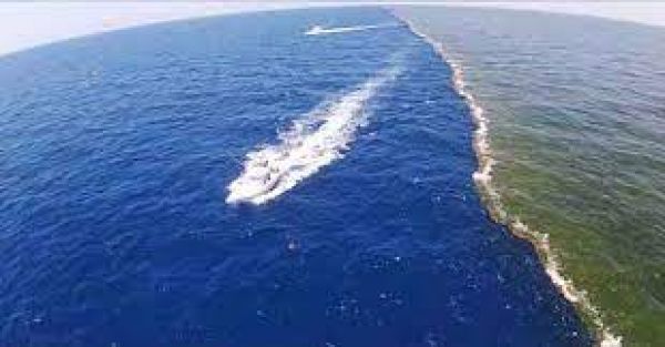 हर दिन हॉट सीट 19 मई