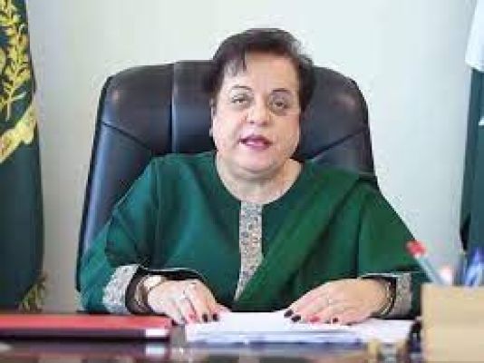 पाकिस्तान की पूर्व मंत्री शिरीन मजारी को पुलिस ने हिरासत में लिया