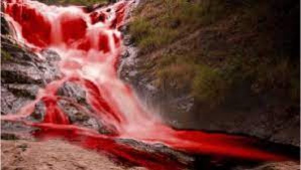 हर दिन हॉट सीट 22 मई