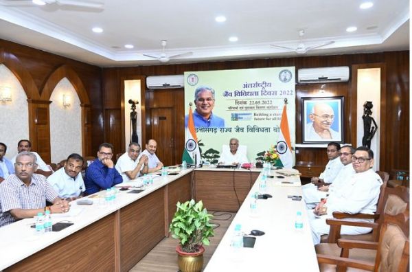 हसदेवतट पर ‘गोंडवाना मेरिन फॉसिल्स पार्क’ का काम अगले माह से  