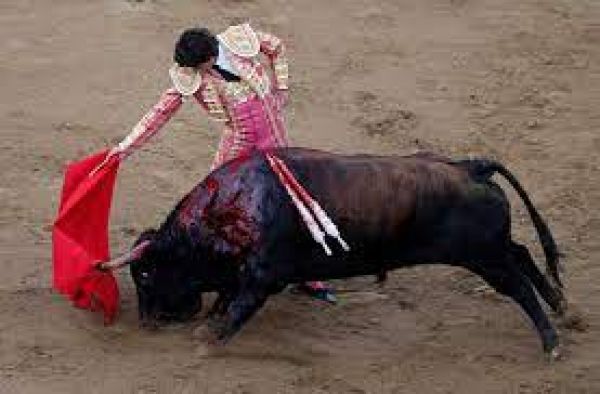 मेक्सिको में सांडों की लड़ाई पर रोक