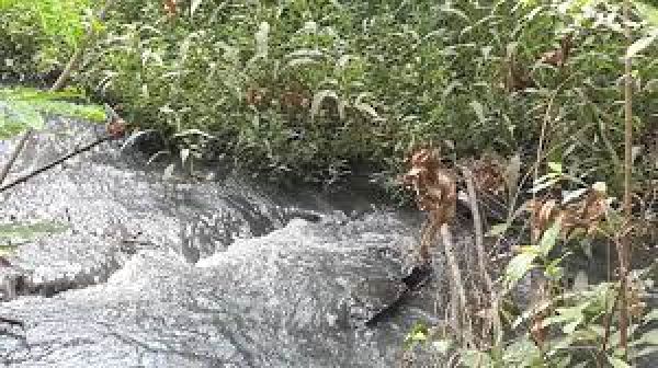 डीटीई का खुलासा : कोका-कोला, रिलायंस, अदानी जैसे समूह से बीते 30 सालों में जुर्माना नहीं वसूल पाई सीपीसीबी