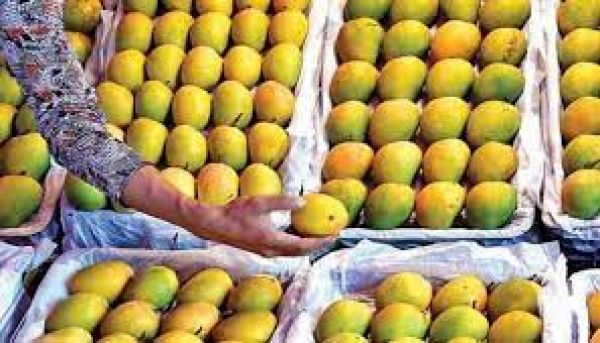 आम खाने के लिए इस बार जेब ज्यादा ढीली करनी होगी