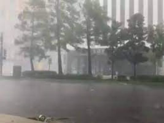 दिल्ली में ‘भीषण’ तूफान, दो लोगों की मौत, सैकड़ों पेड़ उखड़े