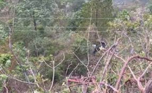 मध्य प्रदेश के तीर्थयात्रियों की बस गहरी खाई में गिरी, 25 की मृत्यु