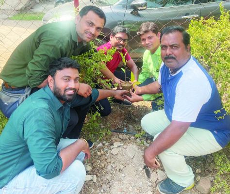 सुयश हॉस्पिटल द्वारा कबीर नगर में वृक्षारोपण