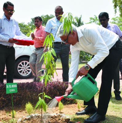 एसईसीएल ने विश्व पर्यावरण दिवस सोल्लासपूर्ण मनाया